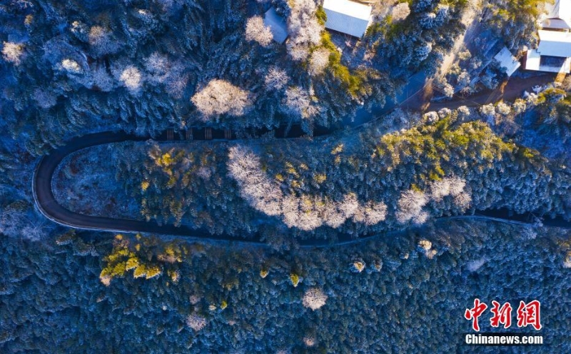 四川敘永:春雪染丹山