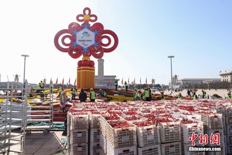 天安門廣場(chǎng)“精彩冬奧”主題花壇更換早春耐寒花卉