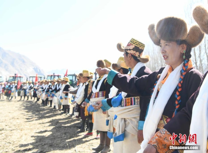 西藏拉薩:春耕第一犁