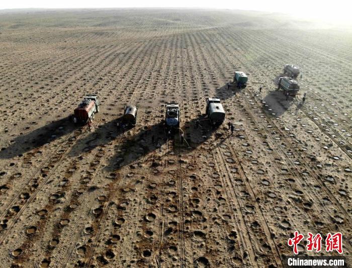 圖為沙漠中的治沙隊伍?！●R愛彬 攝