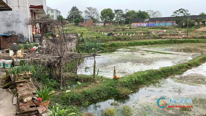 361434bdfaabc32a1e5472d88ed6464 361434bdfaabc32a1e5472d88ed6464