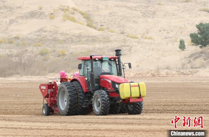 村民正在馬鈴薯種植基地內(nèi)忙碌?！∮诰?攝