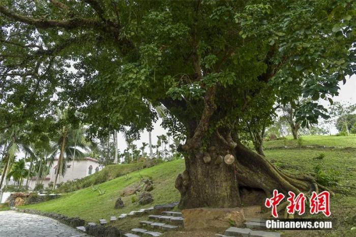 點(diǎn)擊進(jìn)入下一頁(yè)