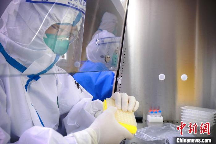 安徽省合肥市支援上海核酸檢測(cè)隊(duì)隊(duì)員在工作?！“册t(yī)大一附院供圖