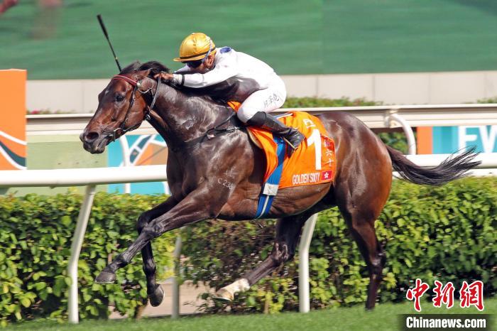 香港馬王“金槍六十”刷新香港賽駒的頭馬紀(jì)錄，并成為香港歷來累積最多獎金的賽駒?！∠愀圪愸R會 攝