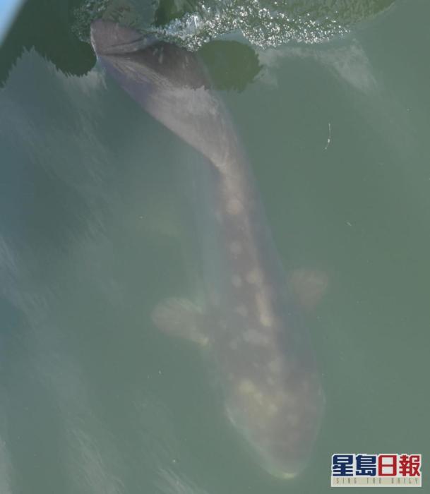 點(diǎn)擊進(jìn)入下一頁