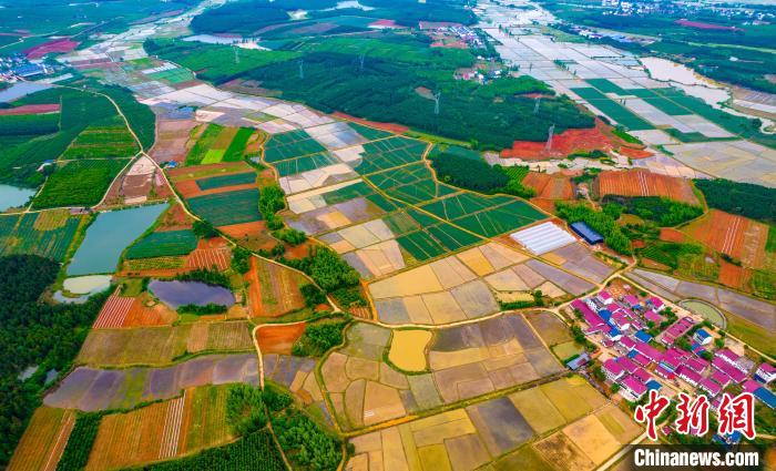 稻田、花田、果園、新村、河流等構(gòu)成五彩鄉(xiāng)村春色，多姿多彩?！≮w春亮 攝