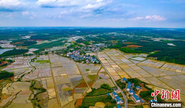 遠遠望去，猶如一幅幅美麗的畫卷?！≮w春亮 攝