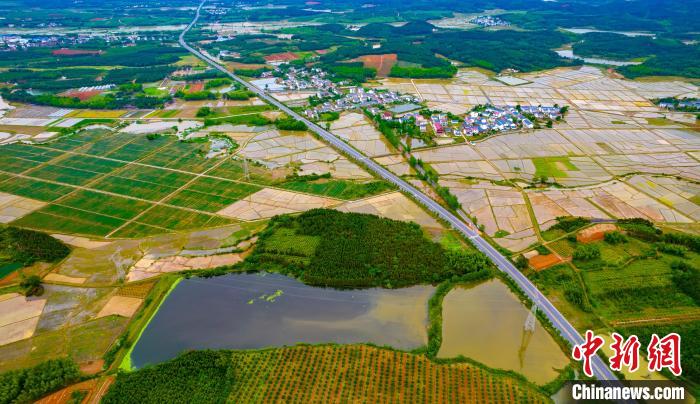 一條條細長的田埂錯落有致將樓房與水田相連，成為鄉(xiāng)村一道美麗景觀?！≮w春亮 攝