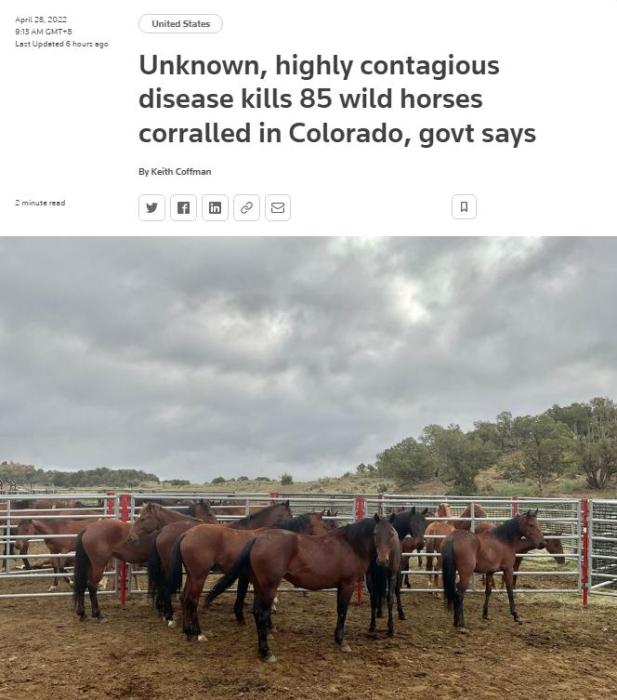 點擊進(jìn)入下一頁