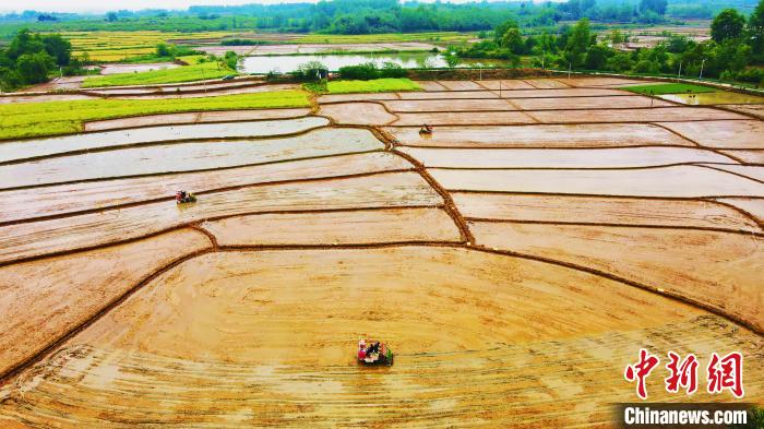 航拍被整平后的水田 陳家樂(lè) 攝