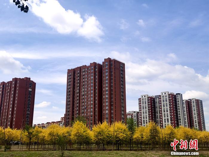 資料圖。<a target='_blank' href='/' >中新網(wǎng)</a>記者 李金磊 攝
