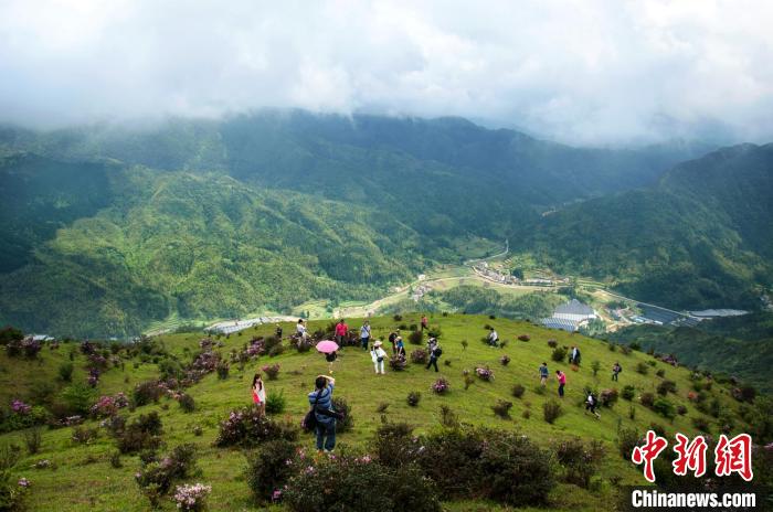 廣東推深做實(shí)林長(zhǎng)制助推生態(tài)文明建設(shè)開(kāi)新局