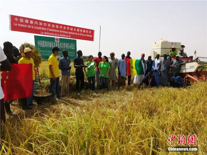 點(diǎn)擊進(jìn)入下一頁