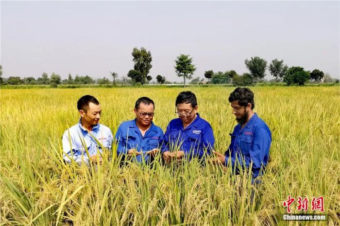 點(diǎn)擊進(jìn)入下一頁