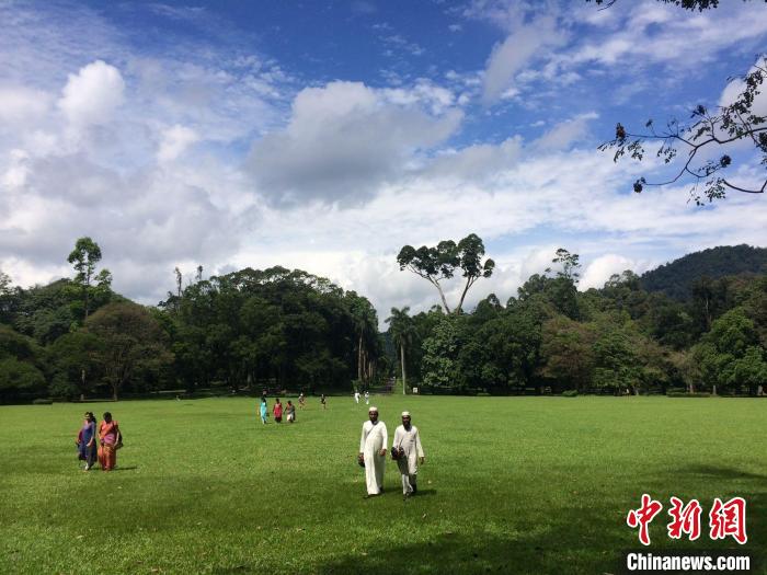 圖為主題展展出的攝影作品?！≈鬓k方供圖