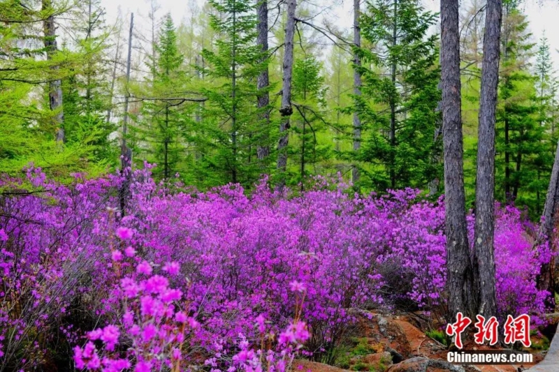 點擊進入下一頁