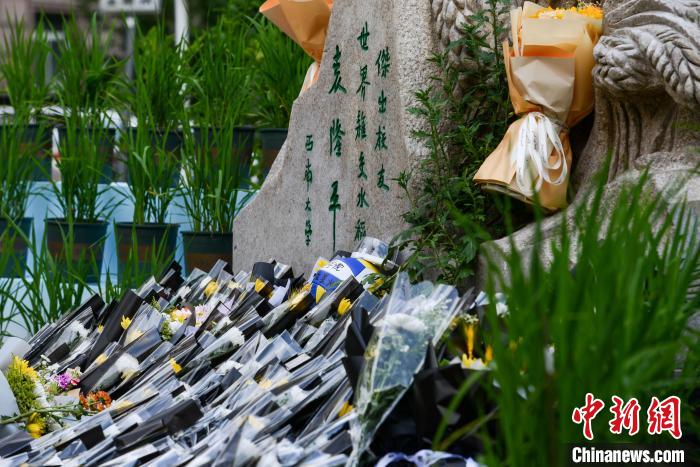 5月22日，在西南大學(xué)校園內(nèi)的袁隆平雕像被鮮花、水稻植株圍繞。　何蓬磊 攝