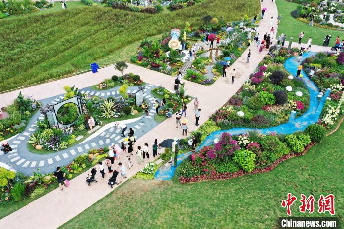 游客前來賞花打卡?！『喂饷?攝