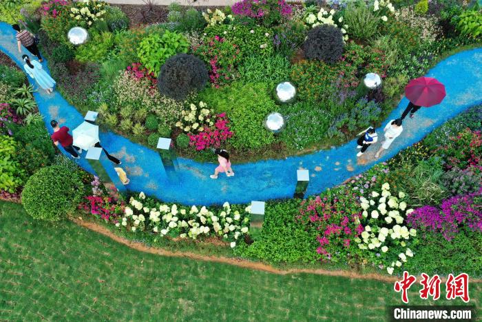 游客徜徉在花境作品間?！『喂饷?攝