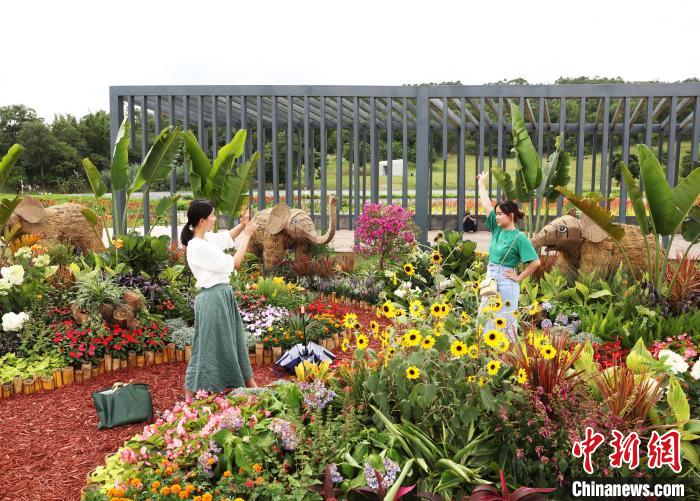 游客拍照留影?！『喂饷?攝