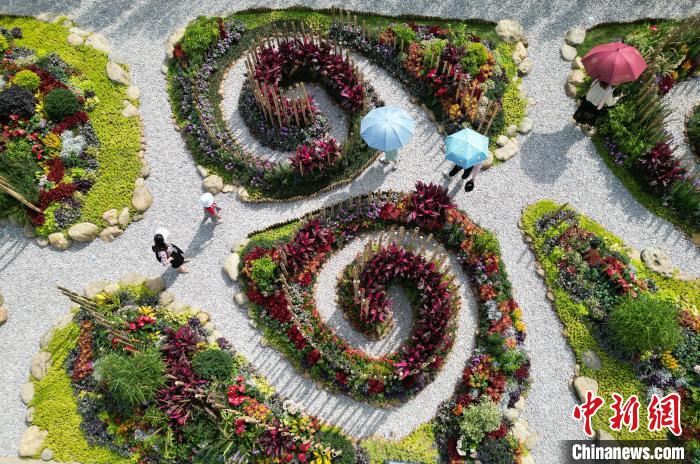 游客徜徉在花境作品間?！『喂饷?攝
