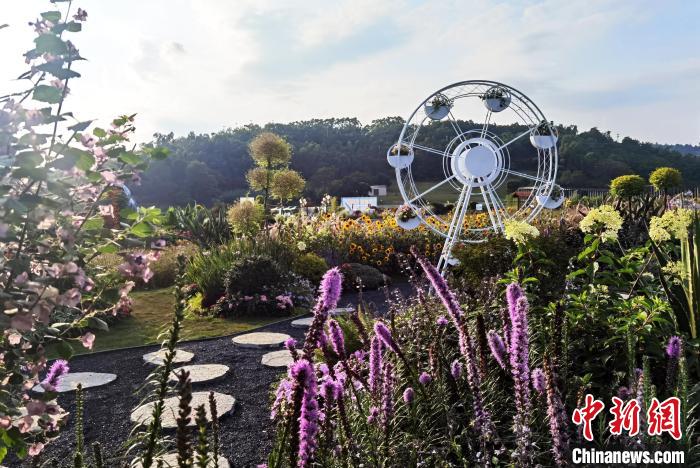 花境造型：幸福花語?！『喂饷?攝