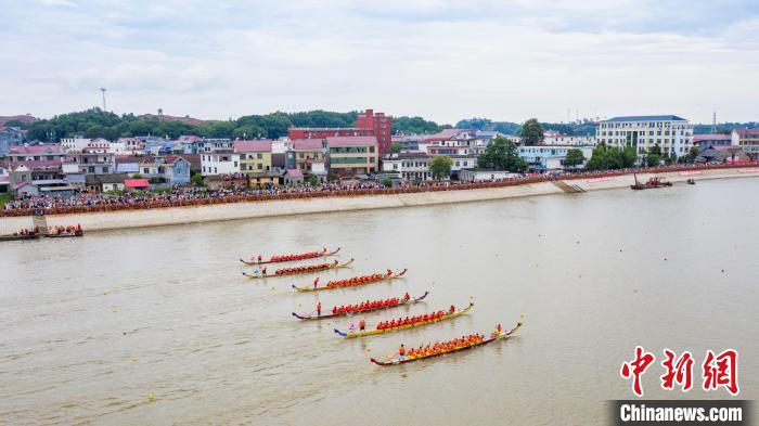 圖為無人機(jī)航拍參賽的龍舟隊(duì)伍在開闊的贛江上奮勇爭(zhēng)先，岸邊擠滿了前來觀賽的民眾。　邱哲 攝