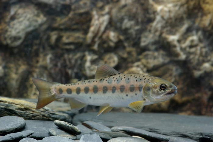 點擊進(jìn)入下一頁