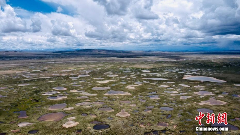 航拍長江源區(qū)最大泥碳濕地——玉樹雜多查旦濕地