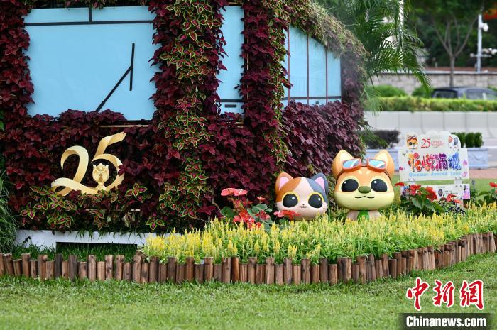 金鐘添馬公園的慶回歸25周年裝飾?！±钪救A 攝