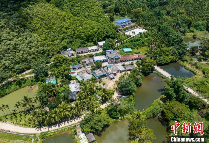 圖為航拍海南省保亭黎族苗族自治縣什玲鎮(zhèn)水賢村?！●樤骑w 攝