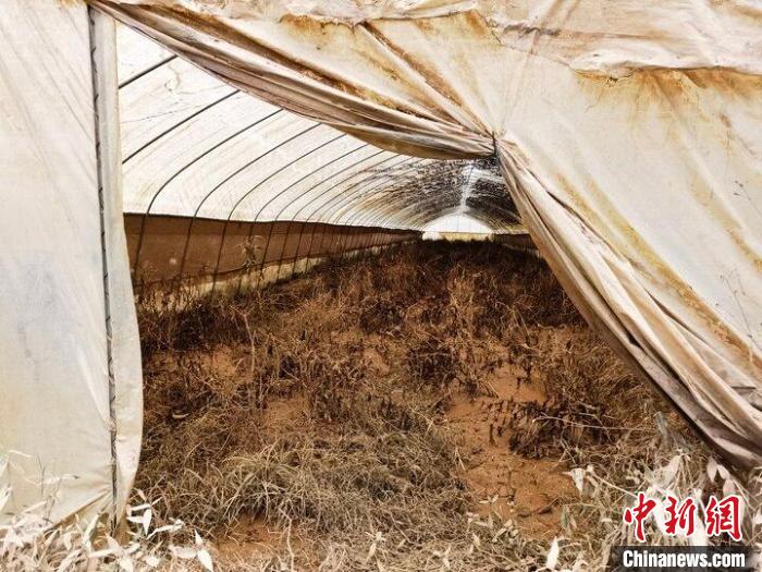 廣東清遠(yuǎn)防汛應(yīng)急響應(yīng)降至Ⅱ級(jí)全市33.7萬(wàn)人受災(zāi)