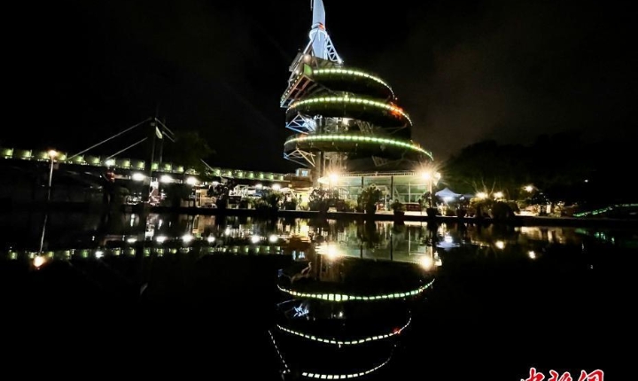 香港大埔海、陸、空匯演慶回歸