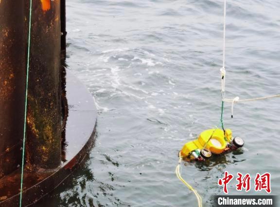 機(jī)器人下水操控檢測。　哈工程提供