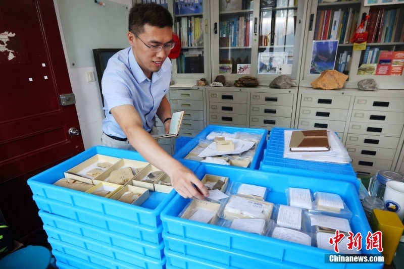 中國科學(xué)家發(fā)現(xiàn)迄今為止最原始脊椎動物