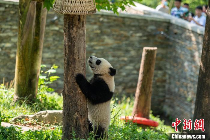 點擊進入下一頁