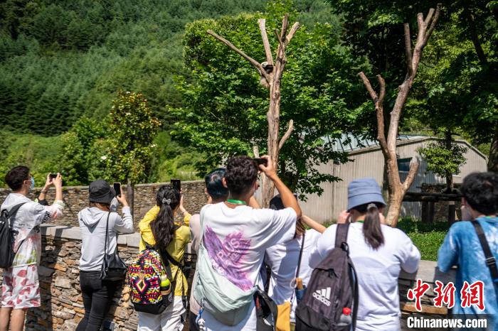 點擊進入下一頁