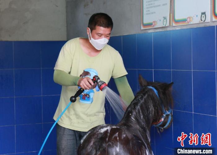 為矮馬沖個(gè)澡?！≈旌?攝