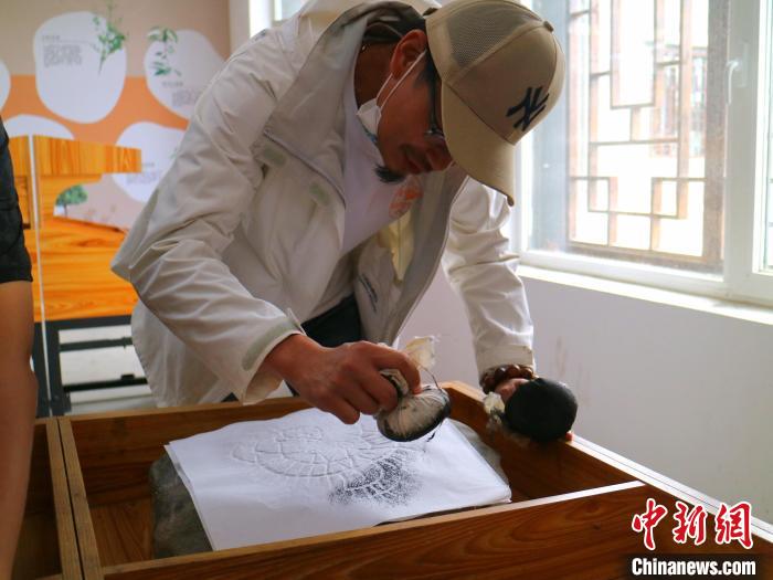 臺青用墨包為巖畫印記上色?！±钤?攝