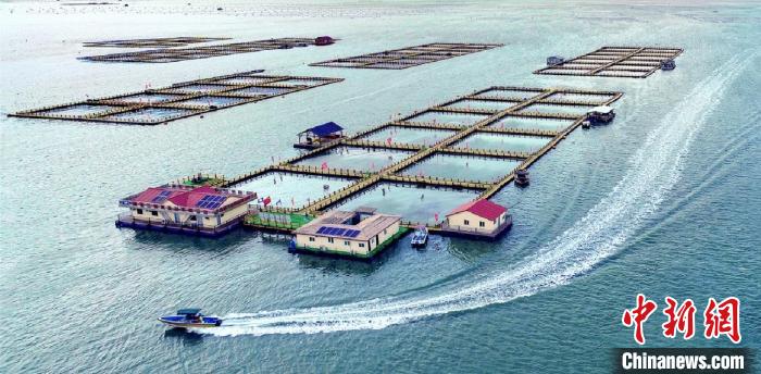 “中國大黃魚之鄉(xiāng)”蕉城區(qū)三都澳上的新型環(huán)保漁排?！〗冻菂^(qū)融媒體中心 供圖