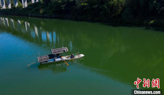 圖為無人機(jī)航拍的唐二妹在潯江打漁。　何利民 攝