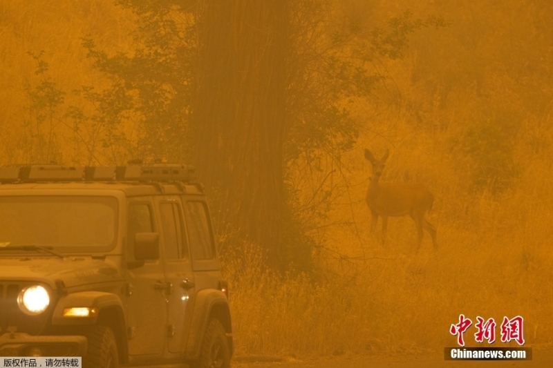 美國(guó)加州山火肆虐 房屋內(nèi)金屬被融化