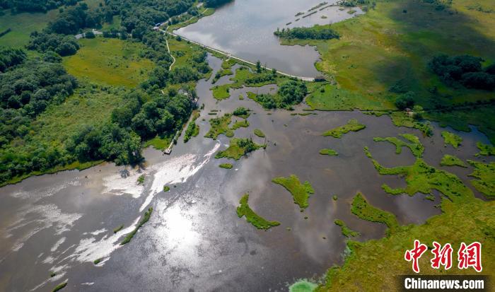 圖為航拍神農(nóng)架大九湖高山濕地風光 鄭子顏 攝