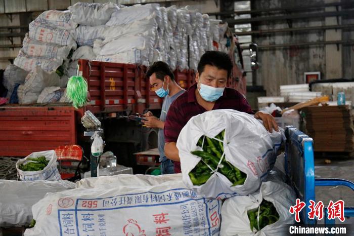 新疆大型農(nóng)產(chǎn)品一級(jí)批發(fā)市場(chǎng)貨足價(jià)穩(wěn)正常營(yíng)業(yè)不斷供