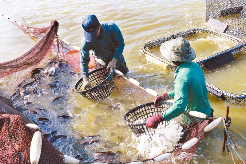 B02A00_P_04_02 B02A00_P_04_02