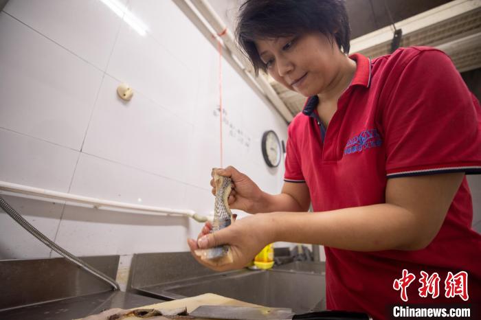 王媛媛正在為動物準備食物?！「卟?攝