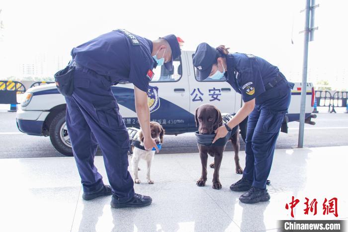 圖為巡邏一段時間后，黃曉莉(右)和唐琥犀(左)用隨身攜帶的折疊碗給警犬喝水?！￡惞谘?攝