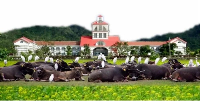 圖為臺灣花蓮自強外役監(jiān)獄門前，清幽有如童話世界(自強外役監(jiān)獄供圖)。來源：聯(lián)合新聞網