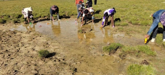 生態(tài)管護員撿拾水源地塑料廢棄物